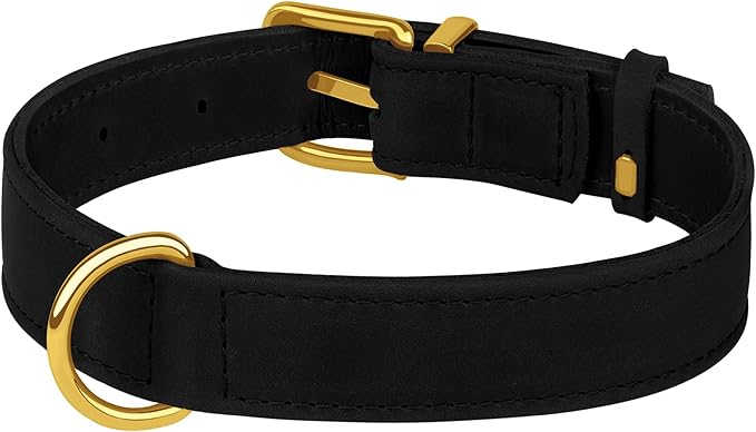 Leather Dog Collar - Heavy Duty Adjustable Soft Padded Pet Collars for Small Medium Large Dogs Breed - Black Green Brown Pink Red Blue (Black, S, 9"-12" Neck Fit)
