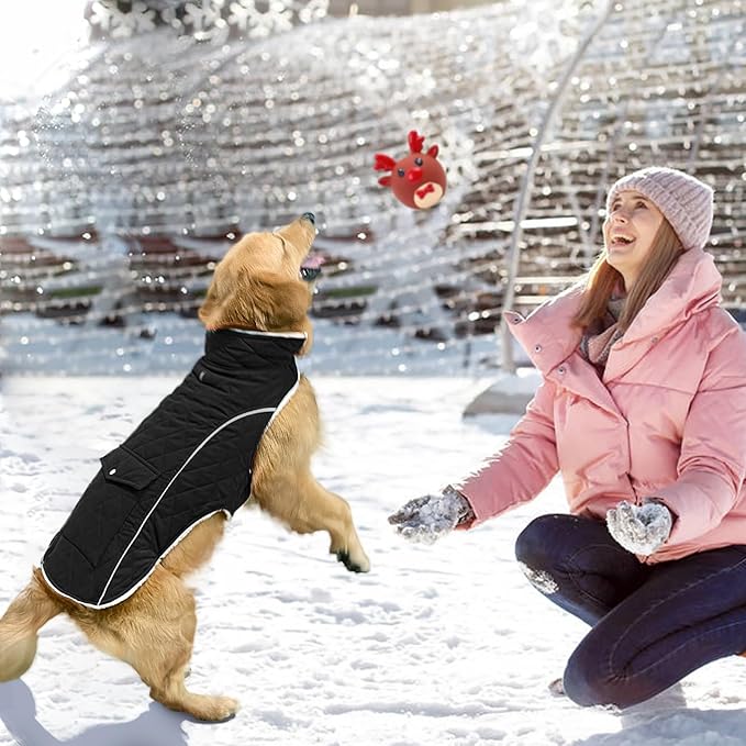 Malier Dog Winter Coat, Windproof Dog Cold Weather Coats with Real Pocket, Winter Extra Warm Pet Coat Fleece Jacket Reflective Clothes for Small Medium Large Dogs and Puppy (Black, XX-Large)