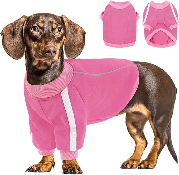 Queenmore Fleece Dog Sweater for Girl Dogs, Pullover Pink Dog Sweatshirt Sweatshirt with Leash Hole, Reflective Stripes – Cozy Winter Fleece Jacket for Small/Medium/Large Femal Puppy XS