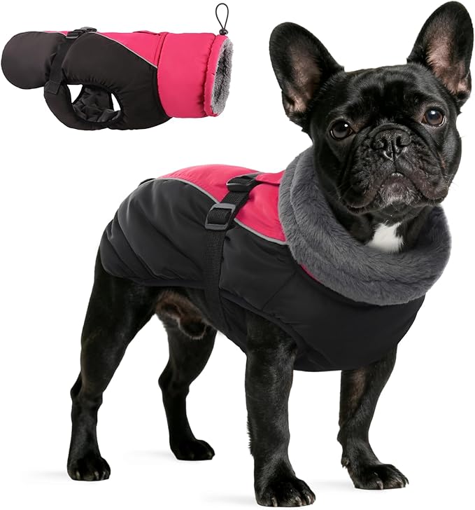 IDOMIK Dog Winter Coat, Reflective Waterproof Dog Jacket for Cold Weather, Warm Pet Coats for Small Medium Large Dogs, High Collar Doggy Fleece Snow Jacket, Winter Vest with Adjustable Buckle,M