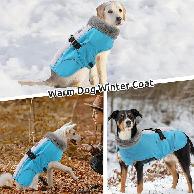 Queenmore Dog Cold Weather Coats, Fleece Collar Dog Apparel for Cold Weather, Pet Snowsuit, Cozy Winter Jackets for Large Breeds with Quick Release, Blue, XXL