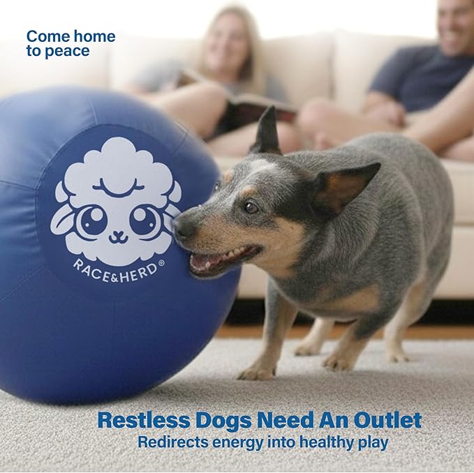 Race&Herd 25" Original XXL Herding Ball for Dogs - Giant Herding Dog Ball Australian Shepherds, Herding Toys, Dog Training Toy for Medium Breeds, Dog Toy for Outdoor Play (for Medium Dogs, Blue)