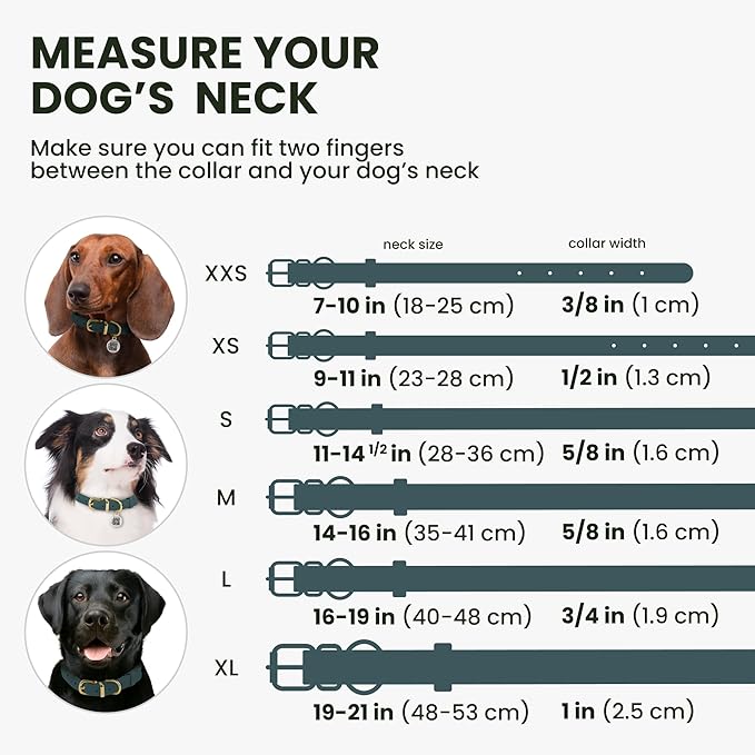 BronzeDog Rolled Leather Dog Collar with QR ID Tag, Adjustable Soft Round Collars for Small Medium Large Dogs Puppy (7" - 10" Neck Size, Denim)