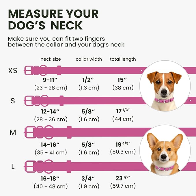 BRONZEDOG Rolled Leather Dog Collar for Small Medium Large Dogs with QR ID Tag (L: 16-18 Inch, Hot Pink)