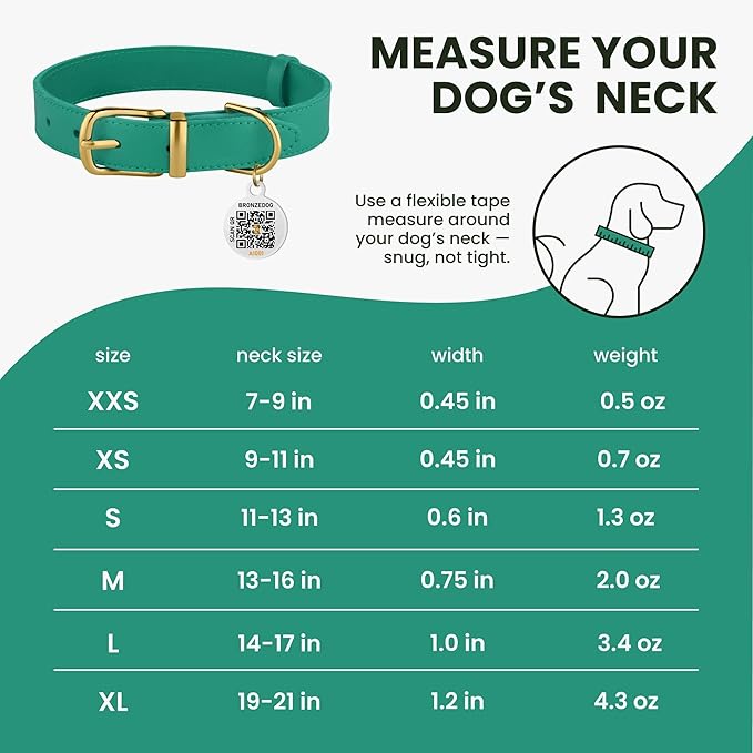 BRONZEDOG Leather Dog Collar with Metal Buckle Durable Basic Pet Collars for Small Medium Large Dogs (14-17 Inch (Pack of 1), Green & Gold Buckle)