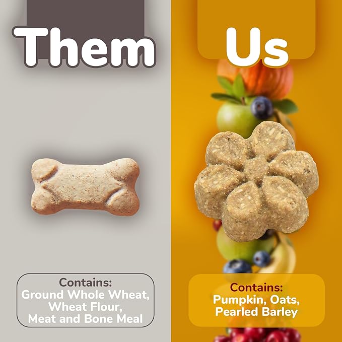 Fruitables Baked Dog Treats – Healthy Low Calorie – Free of Wheat, Corn and Soy – Pumpkin and Banana – 12 Ounces (Pack of 2)