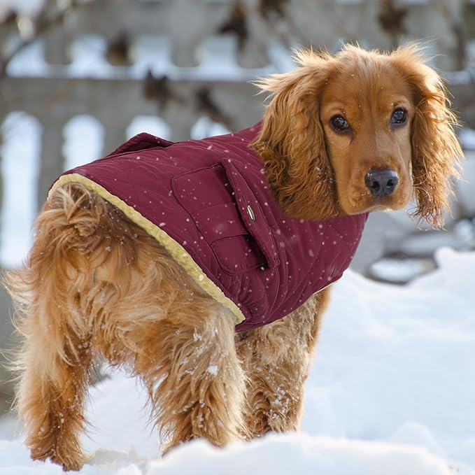 Queenmore Dog Winter Coat Warm Puffer Jacket Waterproof Plush Lining Thermal Cold Weather Vest for Small Medium Large Dogs, Windproof Easy On Pet Jacket Burgundy M