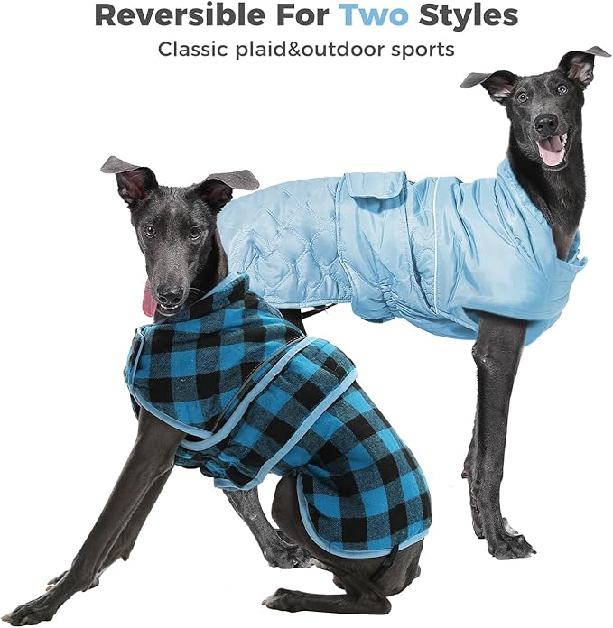 PAWZ Road Dog Winter Coat with 5 Layers Warm Material, Reversible Dog Clothes with 2 Sides, Dog Jacket Outdoor Water Repellent, (Blue Plaid S)