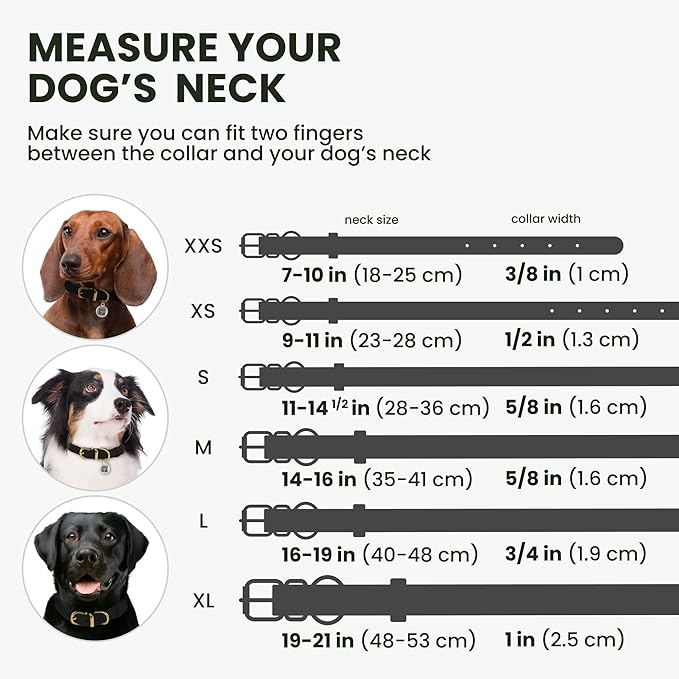 BronzeDog Rolled Leather Dog Collar with QR ID Tag, Adjustable Soft Round Collars for Small Medium Large Dogs Puppy (16" - 19" Neck Size, Black Night)