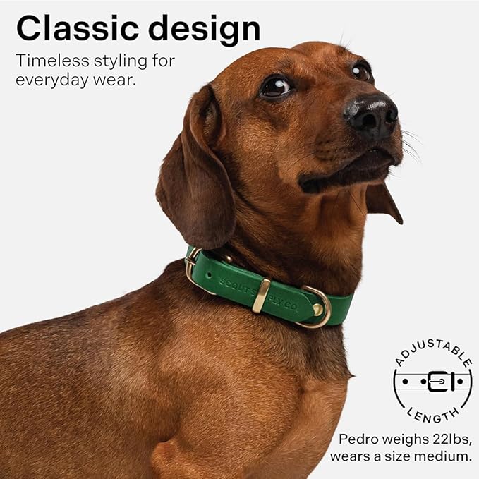 Classic Genuine Leather Dog Collar | Dog Collars for Medium Dogs, Small Dogs, Large Dogs & Extra Large Dog | Wide Dog Collar | Heavy Duty Collar (Green, XX Large)