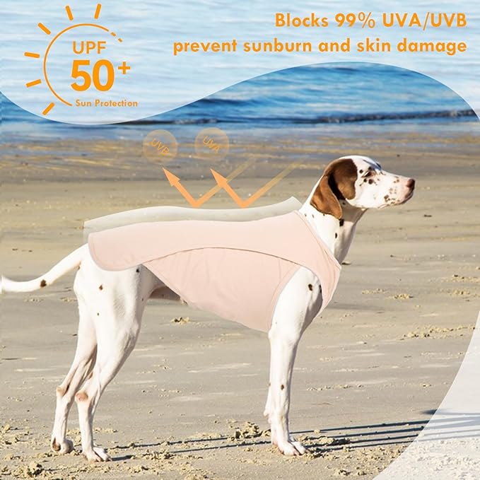 2 Pack Dog T-Shirt, Quick Dry Durable Shirts for Large Dogs, Summer Cooling Sun Protection Clothes, Breathable Prevents Overheating Vest, Purple+Pink, 5XL