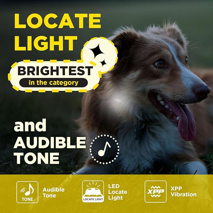Dogtra 200iQ Remote Training E Collar – 100 Levels, Tone, Vibration, 1/2 Mile Range – Compact, Waterproof, One-Handed Control for Dogs 10 lbs+ – Lightweight Design for Daily Training – Zebra