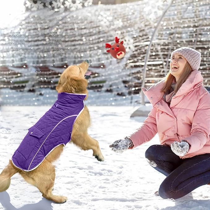 Malier Dog Winter Coat, Windproof Dog Cold Weather Coats with Real Pocket, Winter Extra Warm Pet Coat Fleece Jacket Reflective Clothes for Small Medium Large Dogs and Puppy (Purple, X-Small)