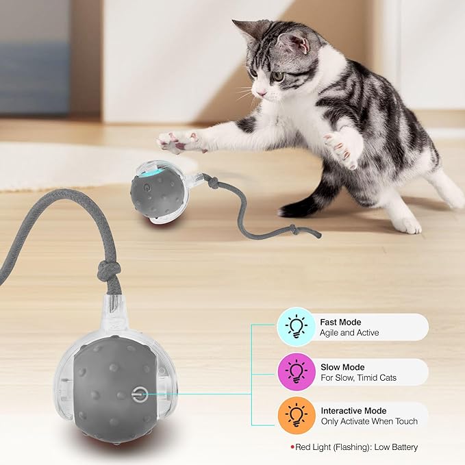Electric Interactive Cat Toy Ball - Automatic Rolling Silicone Cat Toys for Indoor Cats, Durable Chew-Proof Motorized Kitty Ball with LED Light, Fun Exercise Toys for Bored Kittens（Grey）