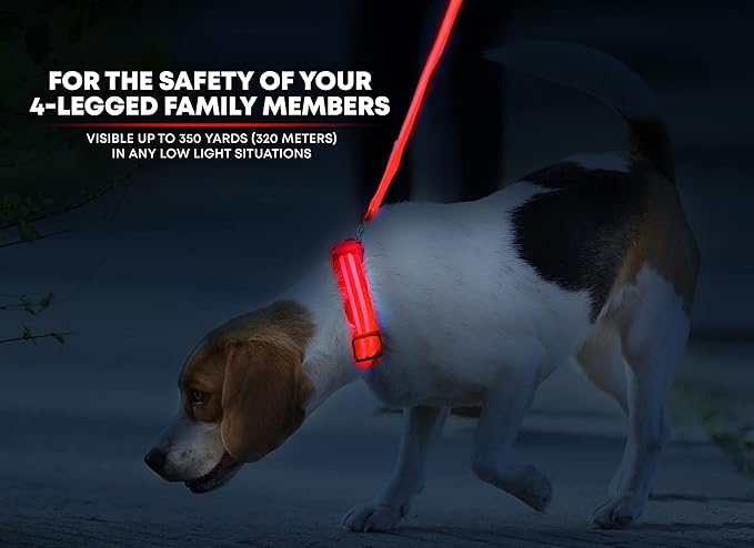 ILLUMISEEN LED Dog Collar USB Rechargeable - Bright & High Visibility Lighted Glow Collar for Pet Night Walking - Weatherproof, in 6 Colors & 6 Sizes (Red Small)