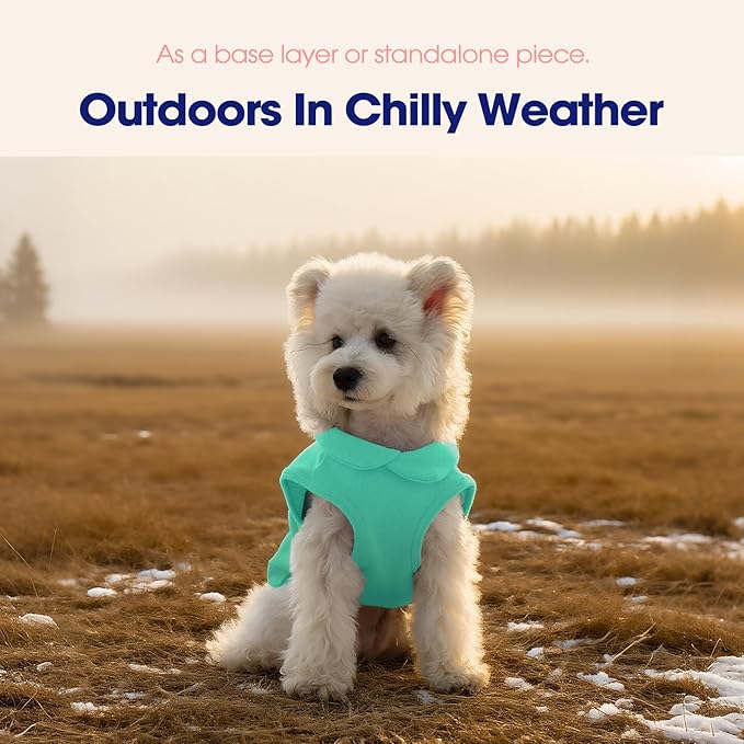 FUAMEY Dog Fleece Vest for Small Dogs,Warm Stretchy Dog Sweatshirts Pullover with Leash Hole Dogs Sweater Soft Pet Turtleneck Cozy Pet Vest Lightweight Sleeveless Cyan XS