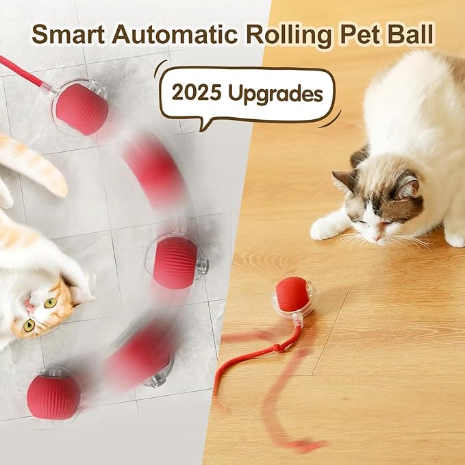 Interactive Cat Toy Ball, 2025 Upgraded Cat Toys for Bored Indoor Adult Cats, Self Rolling Interactive Dog Ball Toy, Automatic Smart Pet Toy Ball Kitten Toys (Green)