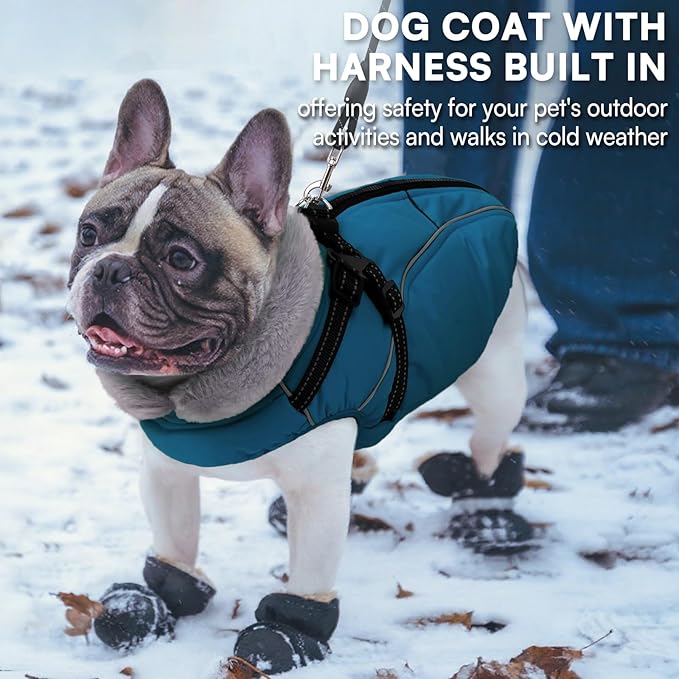 Queenmore Dog Coat,Windproof Dog Coat for Medium Dogs,Dogs Jackets with Harness Built in,Waterproof Doggy Coats with Zipper On Back,Reflective Cold Weather Coats for Dachshund，Boston Terrier,Blue,M