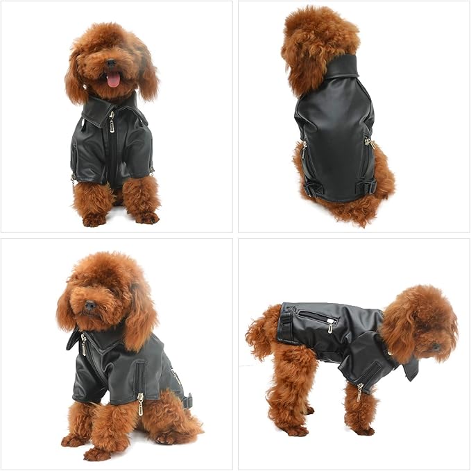 Lovelonglong Cool Dog Leather Jacket, Warm Coats Dogs Windproof Cold Weather Coats for Large Medium Small Dogs, Boston Terrier Bichon Clothing Black XXL