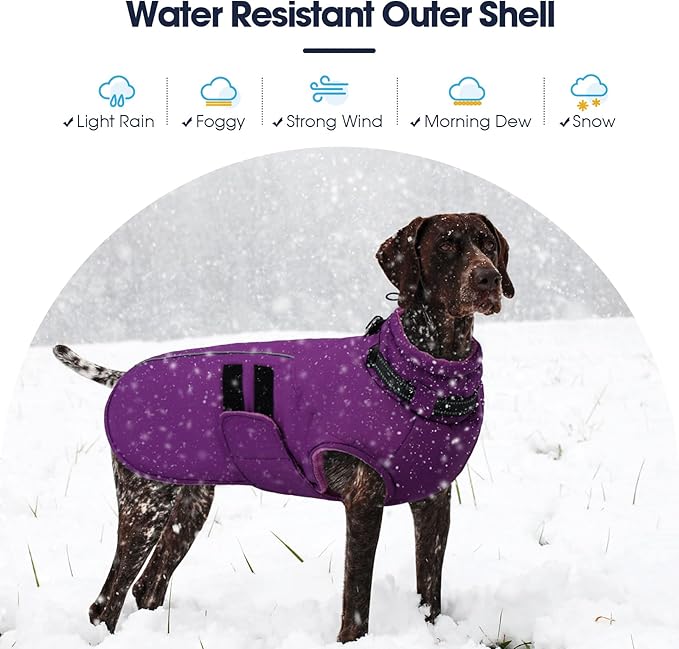 IECOii Big Dog Winter Coat for Giant Breed Dogs Waterproof Dog Jacket with Built in Collar, Reflective Dogs Coat Pet Snow Jacket for Great Dane Saint Bernard, Easy Outdoor Walking, Purple - 5XL