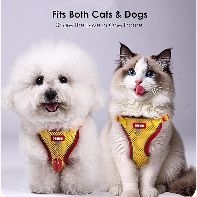 Cat Harness and Leash Set for Walking – Escape-Proof Reflective Vest for Cats and Small Dogs, Adjustable Soft Air Mesh with Pressure-Reducing Design, 4.92ft (Light Brown & Blue, S)