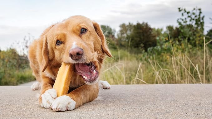 peaksNpaws Yak Cheese, High Protein, Himalayan Dogs Chews, Natural Dog Treats, Lactose Free, Long Lasting Dogs Treat for Aggressive Chewers Under 55 lbs, 4 Large Chew Sticks