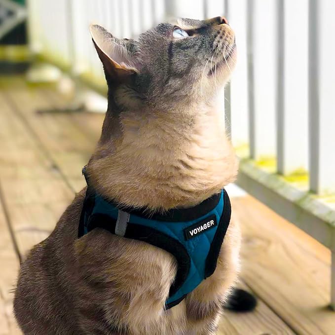 Best Pet Supplies - All Weather Mesh / Plush, Reflective, No Pull Harness for Small, Medium Dogs, Cats - Secure with Hook & Loop Fastener, Buckle, Double D-Rings - Turquoise Plush, XS