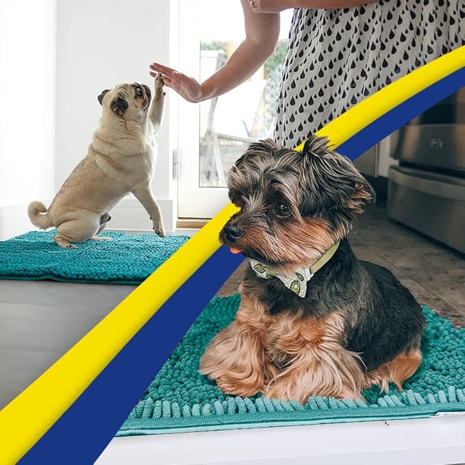 Muddy Mat® AS-SEEN-ON-TV Highly Absorbent Microfiber Door Mat and Pet Rug, Non Slip Thick Washable Area and Bath Mat Soft Chenille for Kitchen Bathroom Bedroom Indoor and Outdoor - Teal 48" x 72"