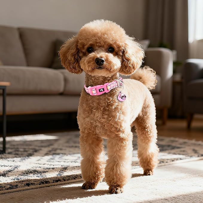 Daisy Reflective Nylon Puppy Collar with Bell - Adjustable XXS/XS Small Dog Collar for Chihuahua, Pomeranian, Yorkie - Lightweight & Comfortable for Night Walks & Indoor Play (XS, Pink)