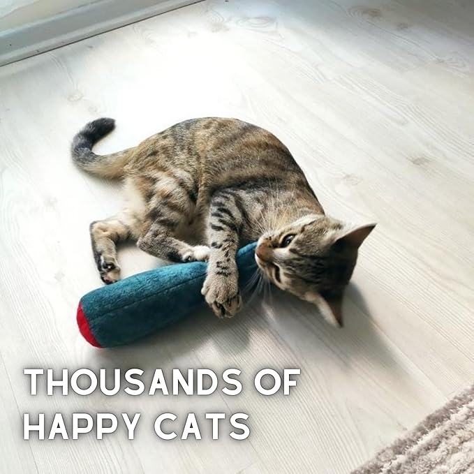 Big Fish Cat Kicker Toy - Refillable Catnip Matatabi Silvervine Filled and Help Relief Anxiety - Kitten Catnip Essentials Treats Supplies Large Interactive Chew for Indoor Cat (Blue)