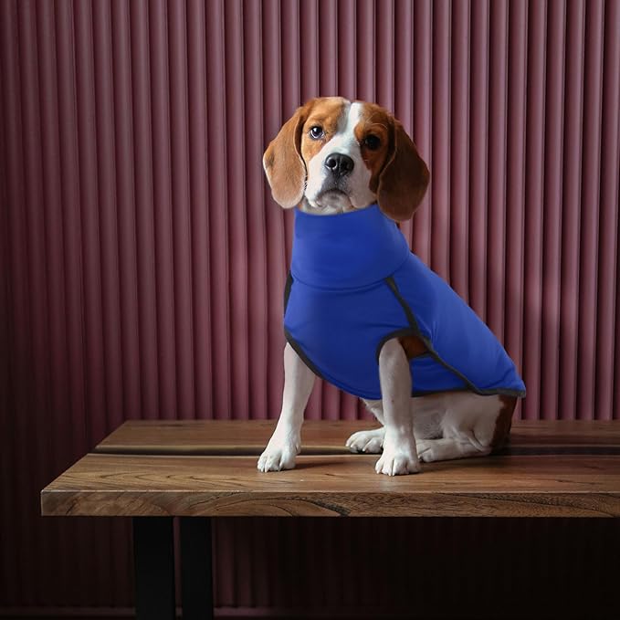 ROZKITCH Fleece Dog Sweaters for Small Dogs Male Female, Pet Windproof Warm Cold Weather Jacket Vest Cozy Jumpsuit Apparel Outfit Clothes for Walking Hiking Travel Sleep Blue XXS