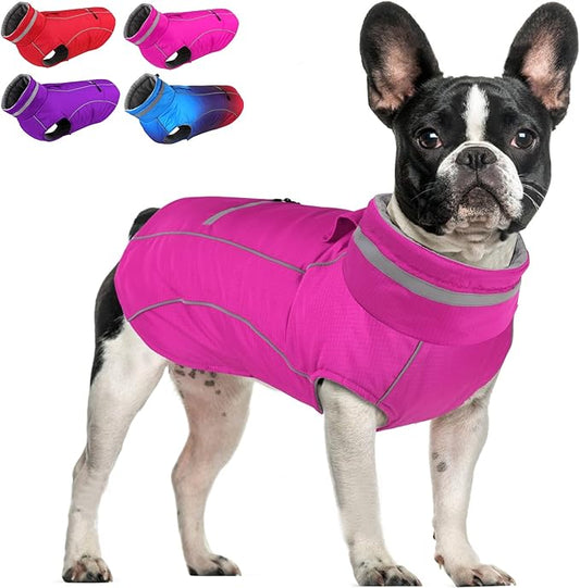 Doglay Dog Winter Coat, Waterproof Dog Jacket with Pocket, Reflective Turtleneck Pet Winter Jackets, Warm Puppy Snow Jacket for Small Medium Large Dogs