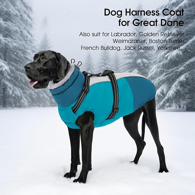 SUNFURA Dog Coat for Small Dogs, Warm Dog Winter Jacket with Harness Built in, Waterproof Pet Snow Jacket Fleece Cold Weather Coats for Puppy Chihuahua, Maltese, Turquoise XS