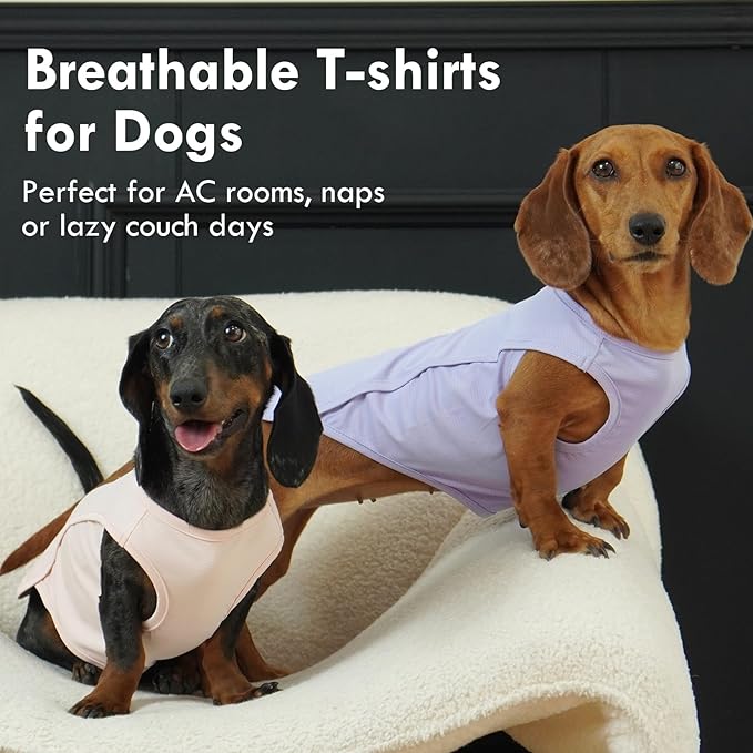 2 Pack Dog T-Shirts for Large Dogs, Quick Dry Cooling Vest, Summer UV Protection UPF50+ Shirt for Dogs Outdoor Hiking, Beach Trip, Travel, Purple+Pink, 2XL