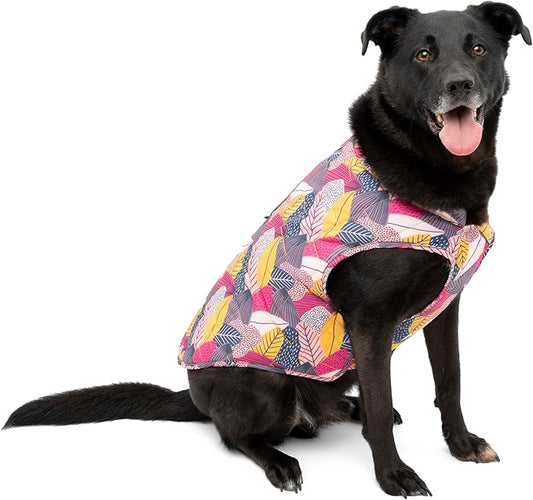 Kurgo Loft Dog Jacket - Reversible Cozy Coat for Outdoor Adventures - Water Resistant - Athletic Fit - Machine Washable Fabric - Reflective Dog Gear - X-Small - Fall Festival