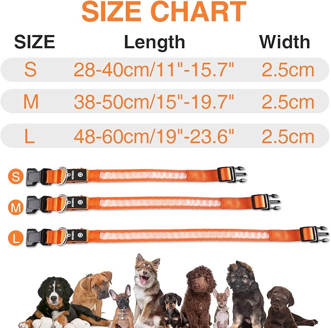 MASBRILL Light Up Dog Collar - LED, Rechargeable, Waterproof Glow Collar for Night Walking with Small, Medium, Large Dogs