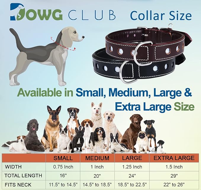 | Genuine Leather Dog Collar | Full Grain, Heavy Duty | Comfortable, Padded, Strong | Best for Pups, Small, Medium, Large & XL Breeds (Small (Fit Neck Size 11.5"-14.5"), Garnet)