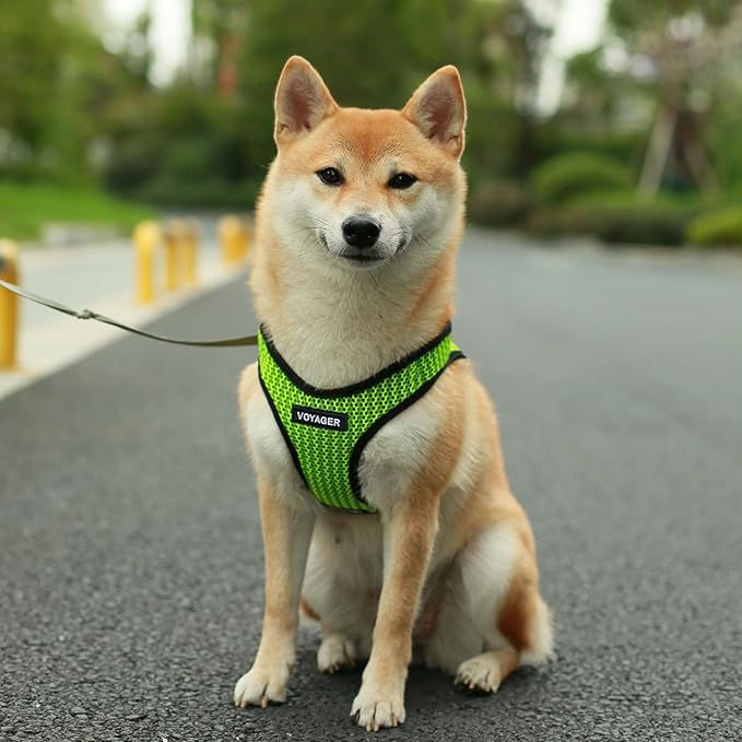 Best Pet Supplies Voyager Step-in Air Harness - All Weather Mesh, Reflective, No Pull Harness for Dogs, Cats - Secure with Hook & Loop Fastener, Buckle, Double D-Rings - Tone, M