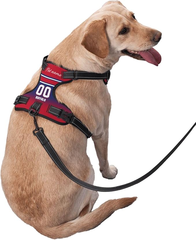 Custom Buffalo Dog Harness with Reflective Stripes Personalized Name and Number Dog Vest Harness with Pet Traction Rope for Small Medium Large Dog