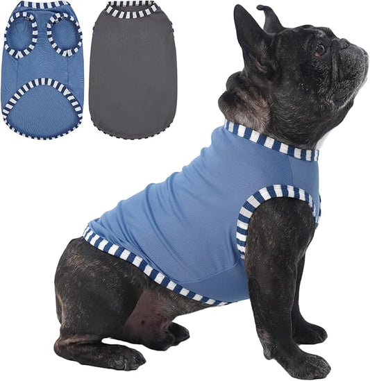 IECOii 2 Pack Dog T-Shirt for Small Dogs | Breathable Stretch Fit for Summer, UV Sun Protection for Chihuahua & Cats, Grey+Blue,M