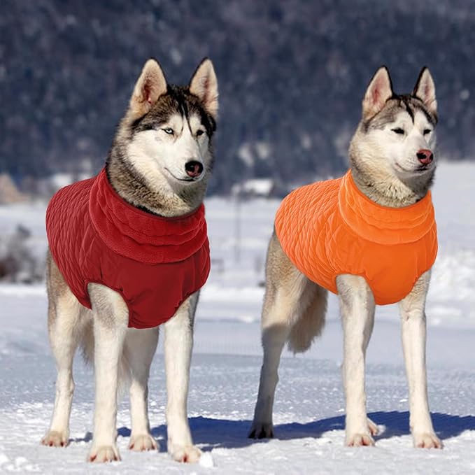 Kuoser XXXL Thermal Dog Suit | Extra Giant Apparel for St. Bernards | D-Ring Safety System Prevents Escape During Storms, Orange XXL
