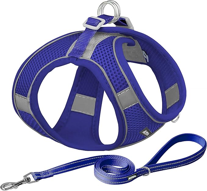 AIITLE Easy Walk Dog Harness and Leash Set - Pet Supply No Pull, Step in Adjustable Pet Harnesses with Padded Vest for Summer, No Choke Over, Easy to Put on Medium Dogs Royal Blue L