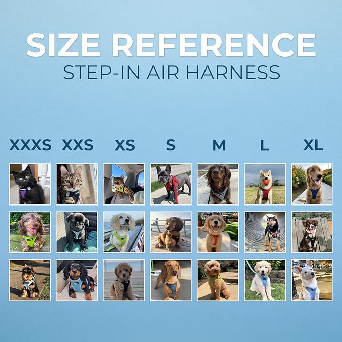 Best Pet Supplies Voyager Step-in Air Harness - All Weather Mesh, Reflective, No Pull Harness for Dogs, Cats - Secure with Hook & Loop Fastener, Buckle, Double D-Rings - Lavender, XS