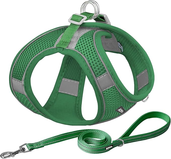 AIITLE Dog Harness, Summer No-Pull Cat Harness with a Leash, Adjustable Reflective Dog Vest, Cat Harness Escape Proof, Outdoor Walking, Camping for Extra Small Dogs and House Cats Green XXXS