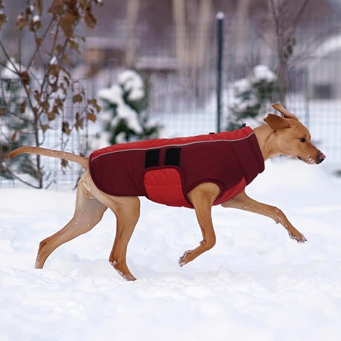 Kuoser Dog Jacket, Winter Dog Coats for Medium Dogs, Reflective Doggie Cold Weather Coats Pet Clothes, Puppy Snow Jacket for Frech Bulldog, Boston Terrier, Red M