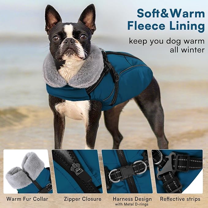 Queenmore Small Dog Coat,Dog Coat for Small Dogs,Reflective Windproof Dogs Jackets with Built-in Harness,Doggy Winter Jacket with Zipper On Back,Warm Pet Coats with Fleece Lining,Blue,S