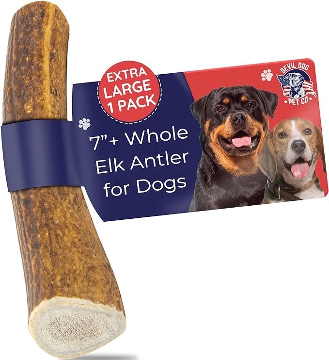 Devil Dog Pet Co. Elk Antlers for Dogs, Extra Large 7"+, 1 Pack, Grade A Long Lasting Chew for Aggressive Chewers, Premium USA Naturally Shed Antler – Healthy, No Odor, Durable Dog Chew