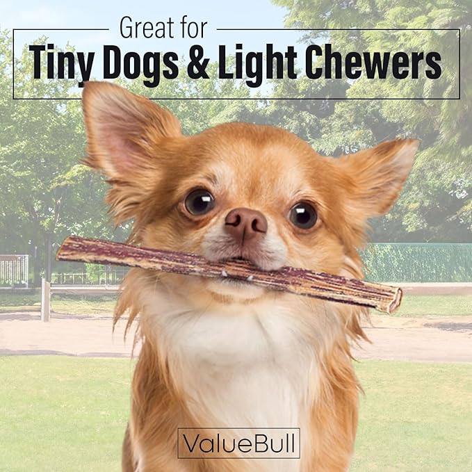 ValueBull Bully Sticks for Small Dogs, Extra Thin 6 Inch, 50 Count - All Natural, Grass Fed, Single Ingredient, Long Lasting Dog Treats