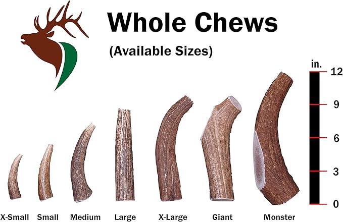 Small Whole 5 Pack (for 10-30 lb Dogs and Puppies) Premium Grade Elk Antlers for Dogs (5 Pieces) Sourced in The USA