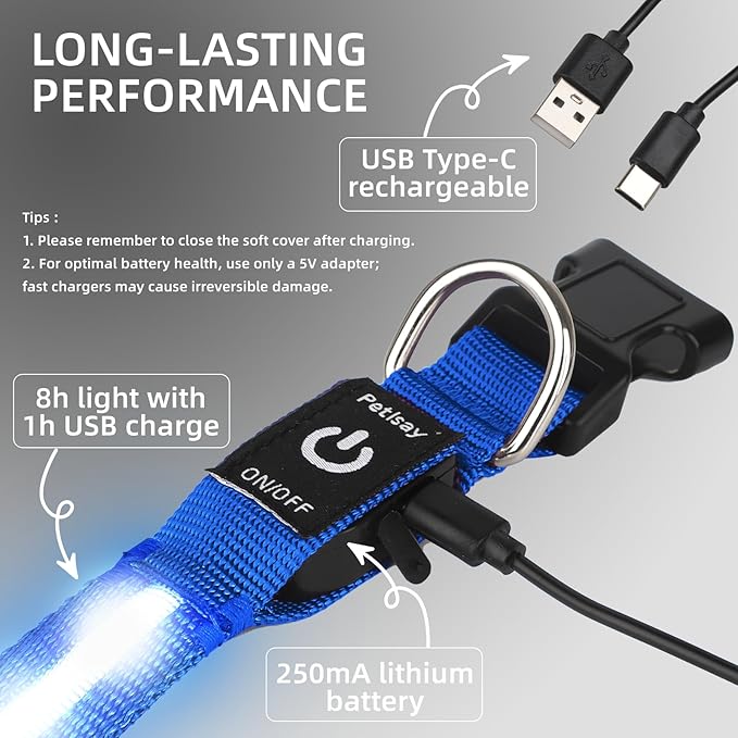 Super Bright LED Dog Collar - Fully Waterproof & Adjustable Glow Collar - USB-C Rechargeable for Night Walking, Safety - Flashing Lighted Collar for Dogs(Blue,Small)